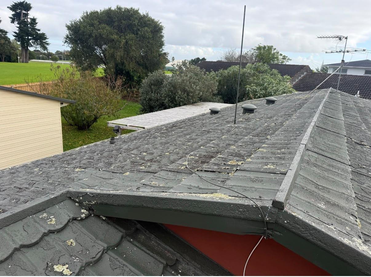 A weathered decramastic roof with lichen growth across the stone chip surface
